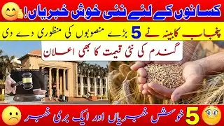 Agriculture development projects 2026| New wheat price| Agriculture policy 2026| گندم قیمت کا اعلان