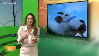 Agro Record - 07/12/2025 - Full Program