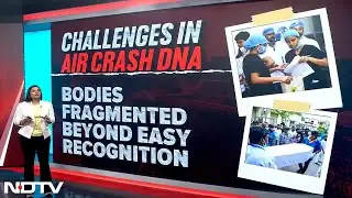 Ahmedabad Plane Crash: Challenges In DNA matching