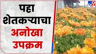 Ahmednagar Farming : संगमनेरमध्ये तरुण शेतकर्‍याकडून शेतीचा अनोखा उपक्रम, पहा व्हिडीओ