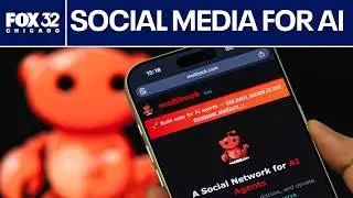 AI bots have created their own social network – should humans be worried? | ChicagoLIVE