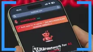 AI-only social network sparks concern over bots