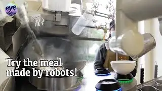 AI robot restaurant begins trial operations in east China