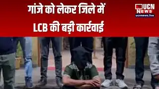 Akola - गांजे को लेकर जिले में  LCB की बड़ी कार्रवाई