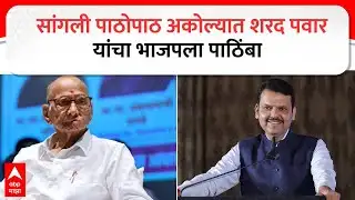 Akola Mahapalika Election News : सांगली पाठोपाठ अकोल्यात शरद पवार यांचा भाजपला पाठिंबा