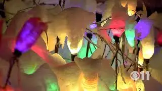 Alaska Botanical Garden - Holiday Lights 2018