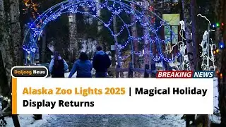 Alaska Zoo Lights 2025 | Magical Holiday Display Returns