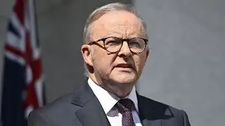 Albanese faces criticism from his own Labor Party