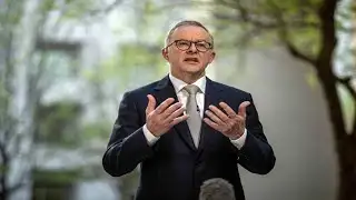 Albanese govt committed to Brereton Report recommendations