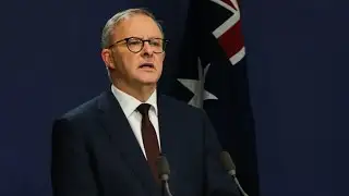 Albanese should ‘fire’ Race Discrimination Commissioner over Australia Day comments