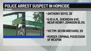 Albany man arrested in fatal Sheridan Avenue stabbing