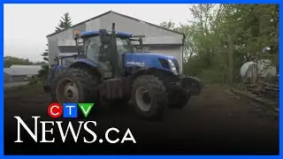 Alberta farmers depending on temporary foreign workers