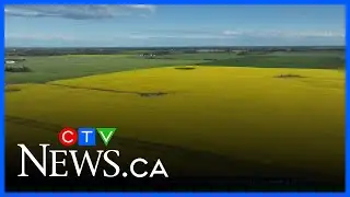 Alberta farmers will be 