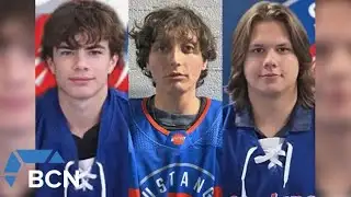 Alberta mourns after three hockey players killed in collision