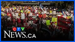 Alberta teachers may be forced back to work after weeks on strike