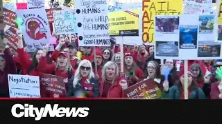 Alberta teachers protest back-to-work bill
