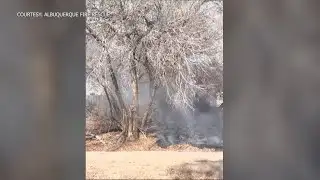 Albuquerque Fire Rescue responds to small Bosque fire