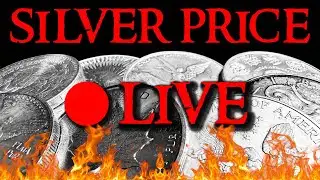 ALERT - IS SILVER PRICE SURGING HIGHER OR CRASHING LOWER?
