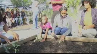 Alex II students dig in and grow kale