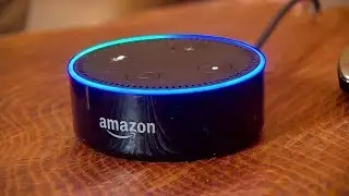 Alexa, send up breakfast: Amazon launches Echo for hotels