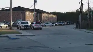 Algiers shooting: 7-year-old child shot