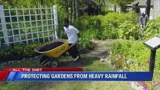 All The Dirt: Protecting gardens from heavy rainfall