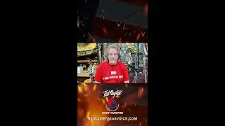 All things Status Quo