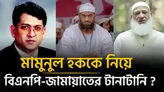 মামুনুল হককে ঢাকা-১৩ আসন ছেড়ে দিবে বিএনপি ? | Allama Mamunul Haque