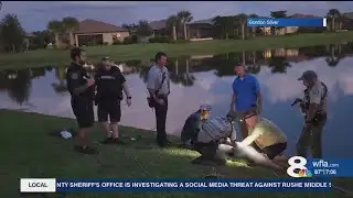 Alligator attack leaves 77-year-old with serious injuries, FWC says