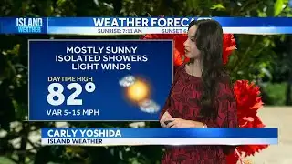 Aloha Friday Weather | Mostly dry and sunny today with little shower activity, large surf this