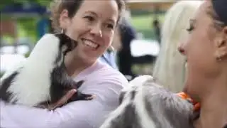 Alt.news 26:46 - S16E1