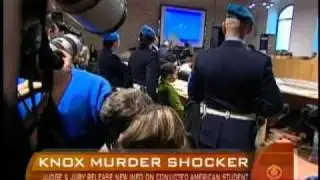 Amanda Knox: Murder Not Premeditated