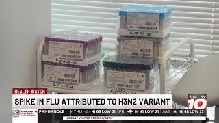 Amarillo health officials report spike in flu cases attributed to H3N2 variant