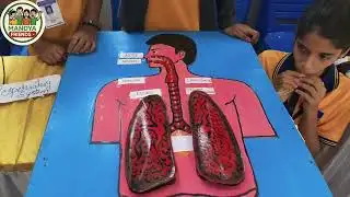 ಮಕ್ಕಳ ಕೈಚಳಕ: Amazing Science Projects by Convent Students | #mandyafriends