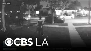 Amazon shares statement after Flex delivery driver allegedly steals woman