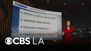 Amber Lee’s NEXT Weather forecast