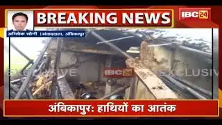 Ambikapur Elephant News: 12 हाथियों का आतंक | बरिमा में हाथियों ने 3 घरों को तोड़ा