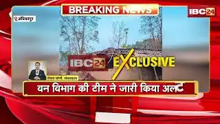 Ambikapur News: सीतापुर रेंज में हाथियों ने मचाया उत्पात | 6 से ज्यादा मकानों को तोड़ा |Chhattisgarh