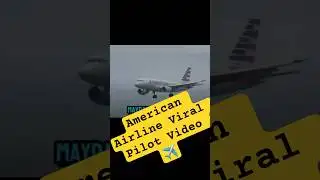 American Airlines Pilot AA73 Makes Unauthorized Emergency Landing to Save Sick Child  | Hero Moment