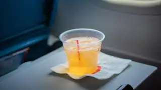 American, Southwest suspend plans to bring back in-flight alcohol sales