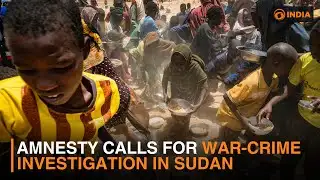 Amnesty calls for war-crime investigation in Sudan