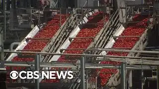 An Australian startup is "growing" water for drought-parched California