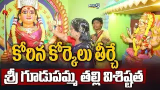 కోరిన కోర్కెలు తీర్చే శ్రీ గూడుపమ్మ తల్లి విశిష్టత | Anakapalli District | Sri Gudupamma Thalli