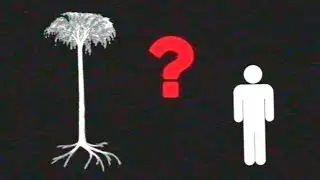 Analog horror - Have you seen this tree ?