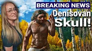 Ancient DNA Shows Dragon Man Is Denisovan!