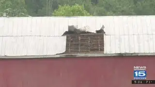 Angola Tornado Damage