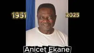 Anicet Ekane Exposed | What Really Happened to This Critic