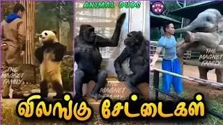 பேசும் விலங்குகள் | Animal Dubs Collection | The Magnet Family 2.0