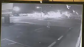 Animal humane thrift shop captures vandal on camera