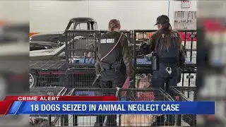 Animal neglect investigation underway after Roanoke dog rescue